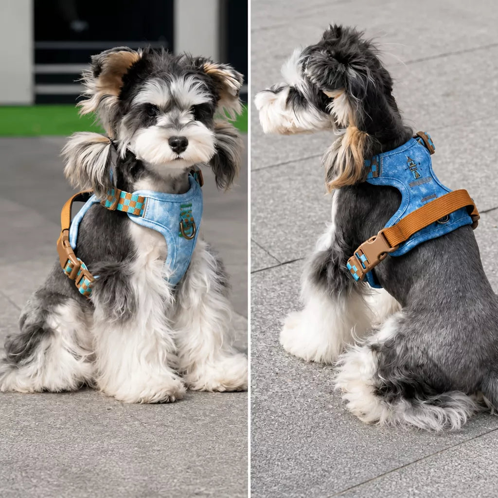 Adjustable Polyester Dog Vest Harness and Leash