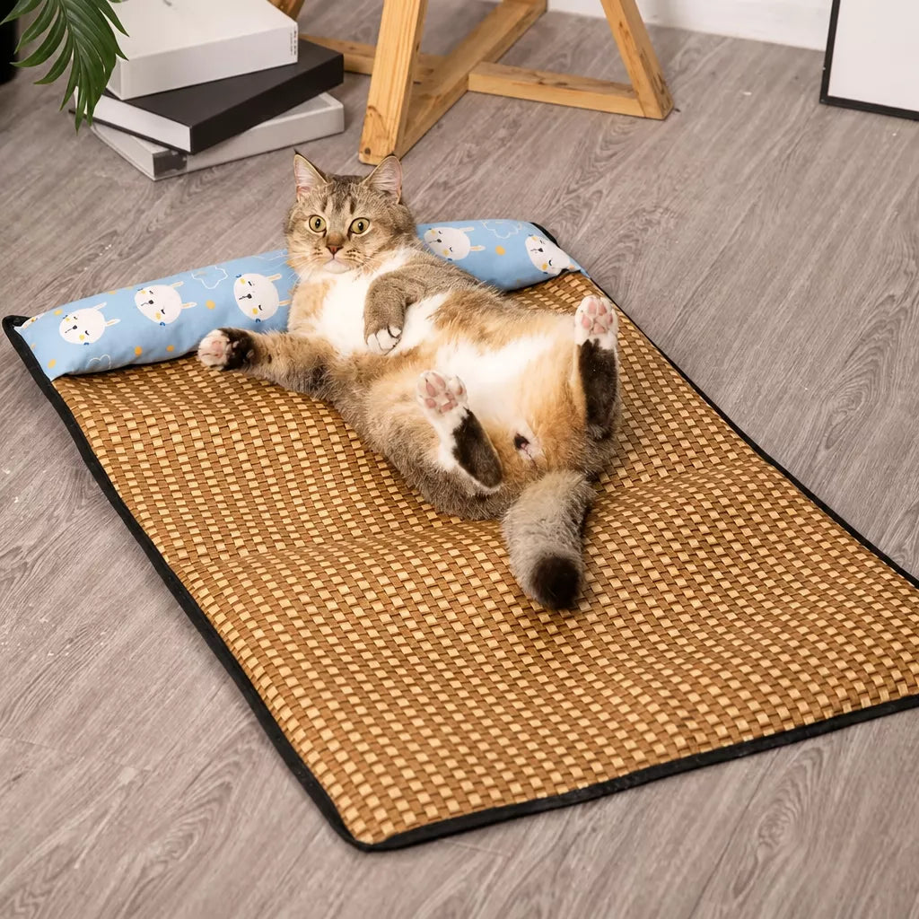 Foam Pet Mat for Cats and Dogs