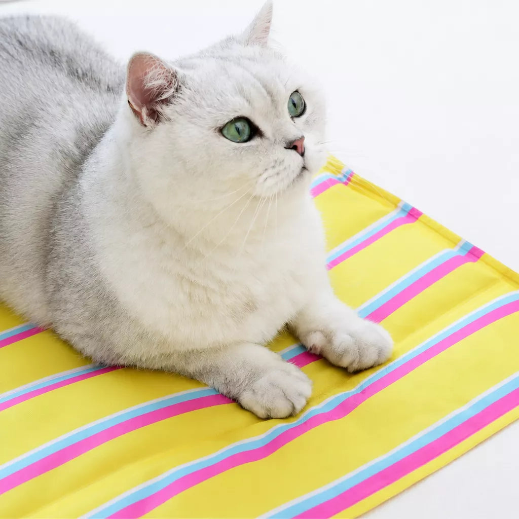 Striped Gel Pet Mat for Dogs and Cats