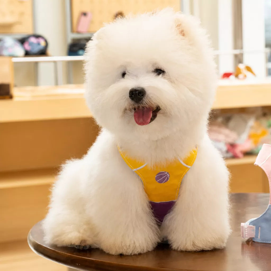 Vest-Style Dog Harness with Leash for Small to Medium Dogs