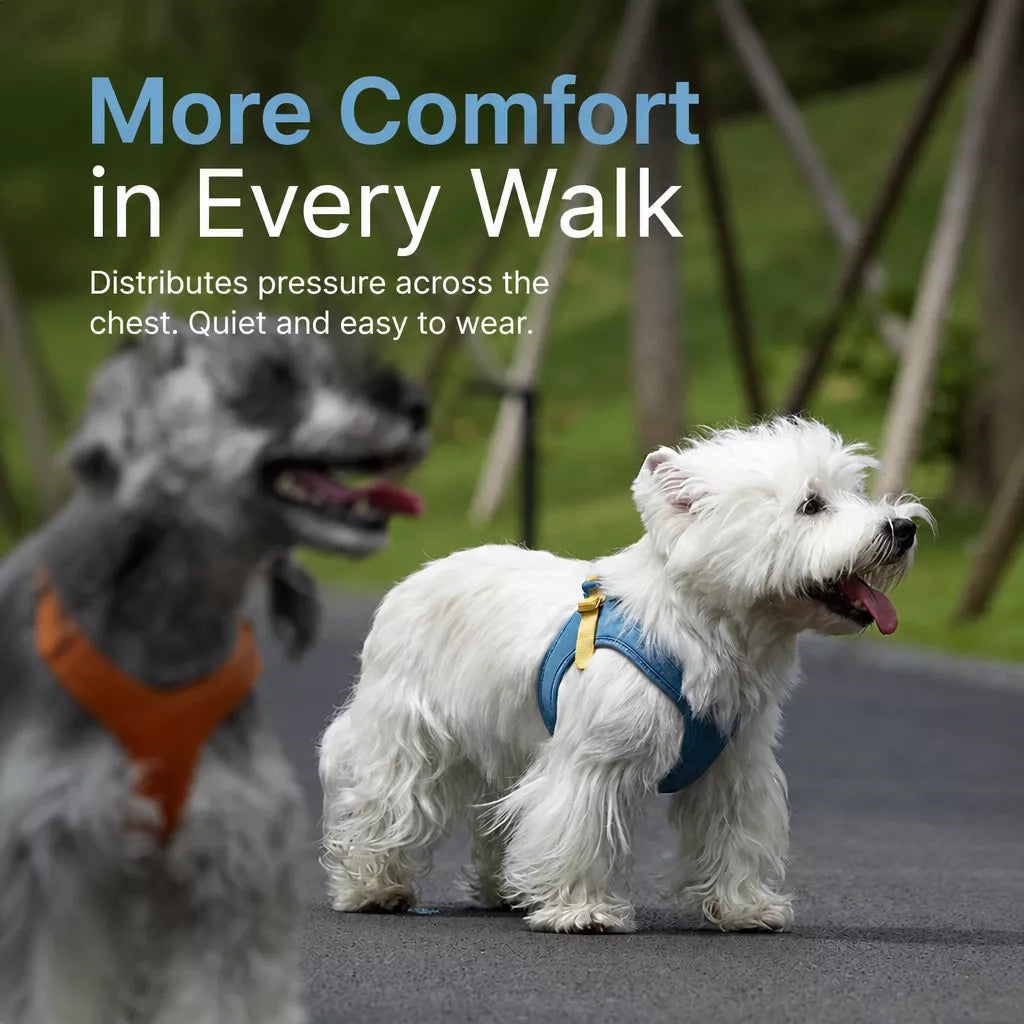 Adjustable Nylon Vest Harness for Small Dogs
