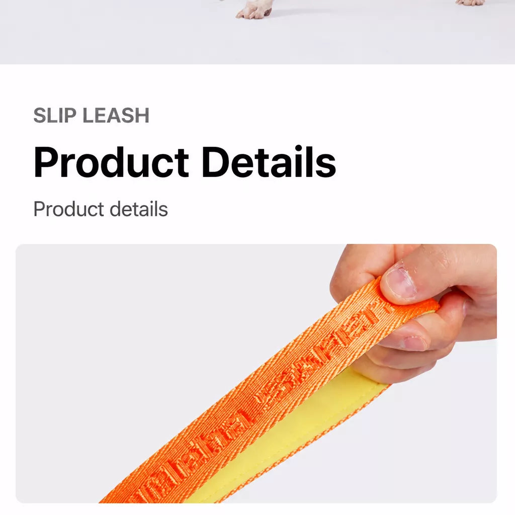Integrated Slip Lead Dog Leash with Close-Control Handle