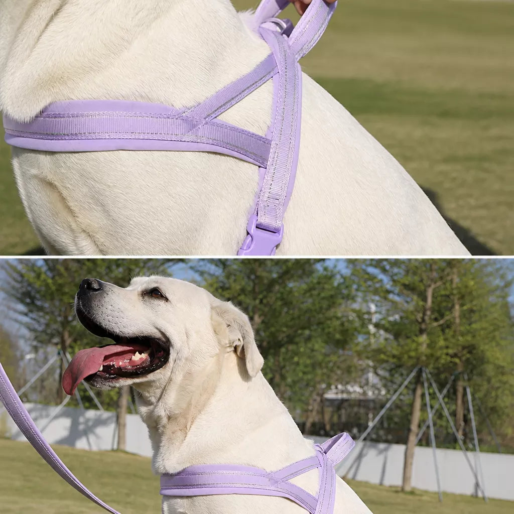 Nylon Dog Harness with Collar and Leash Set Options