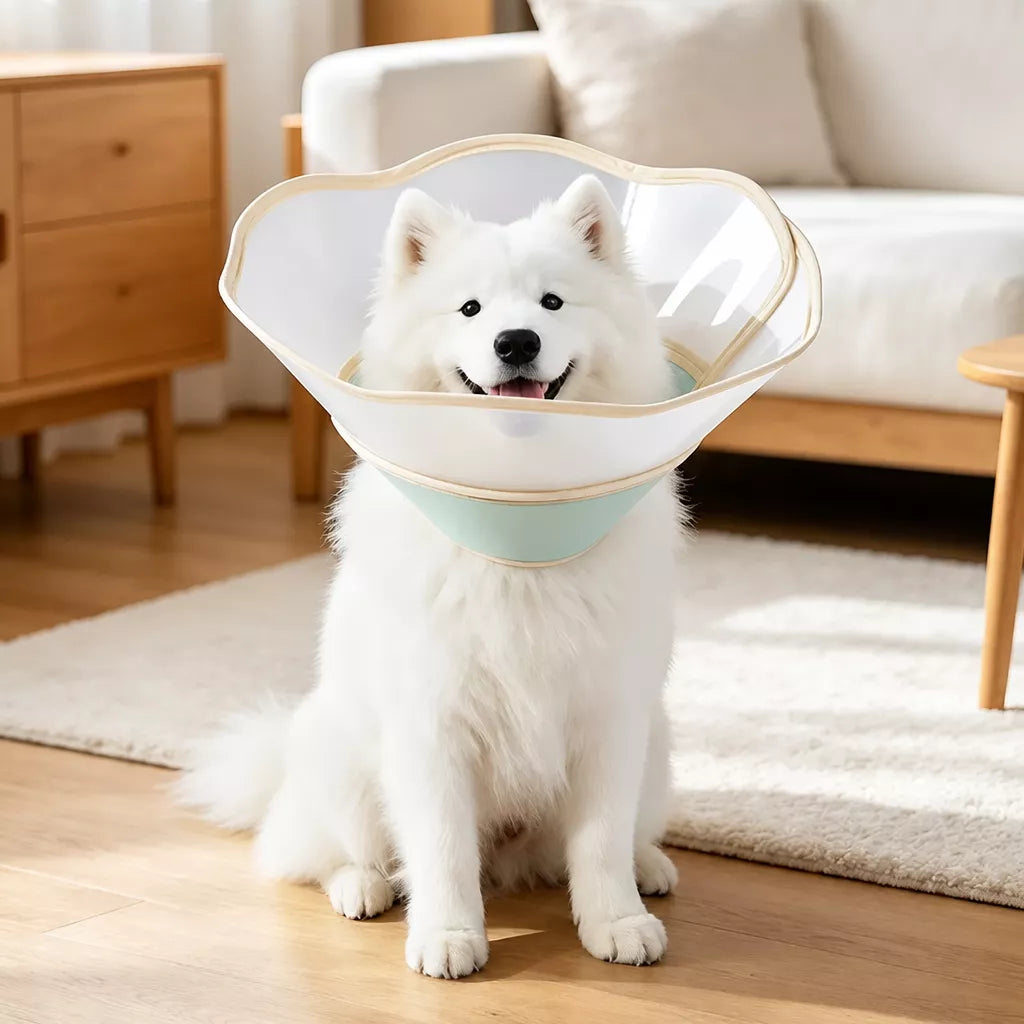 Plastic Recovery Cone for Dogs
