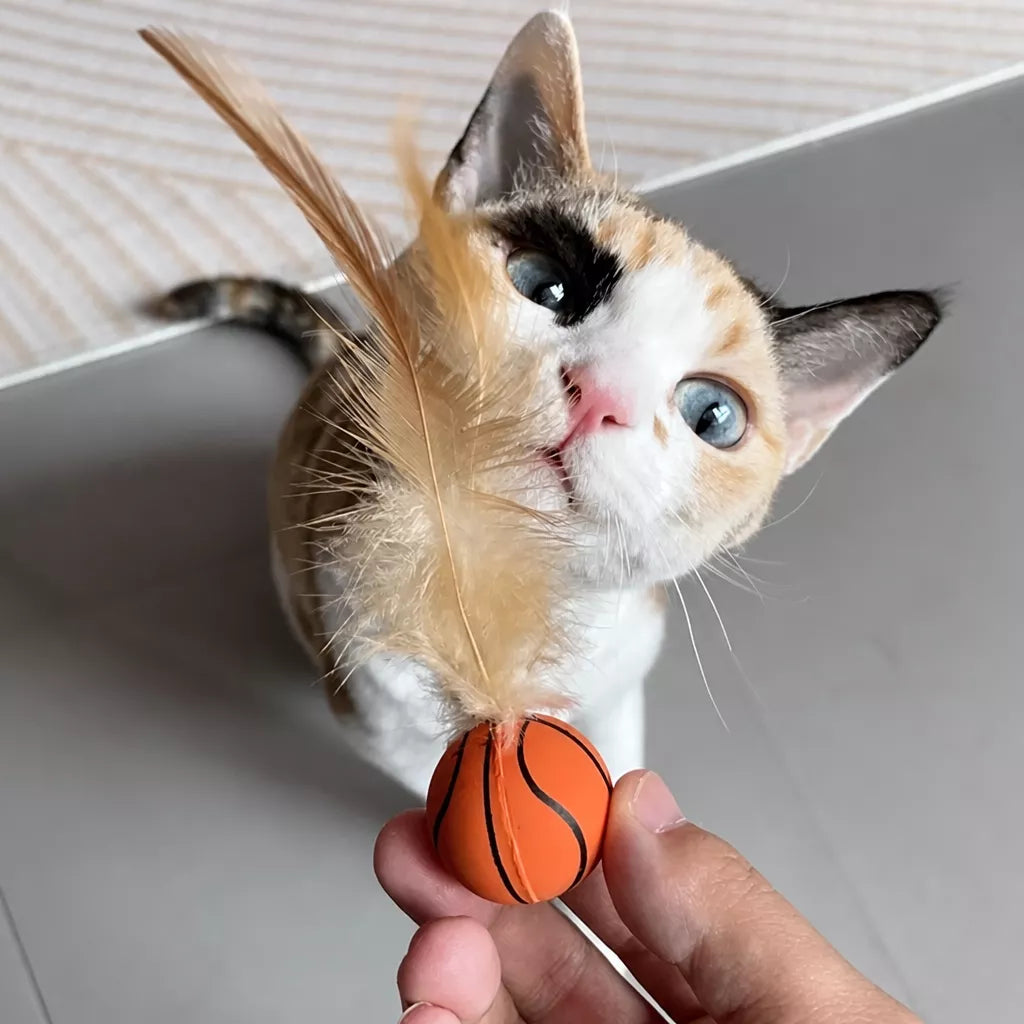 Cat Feather Ball Toy