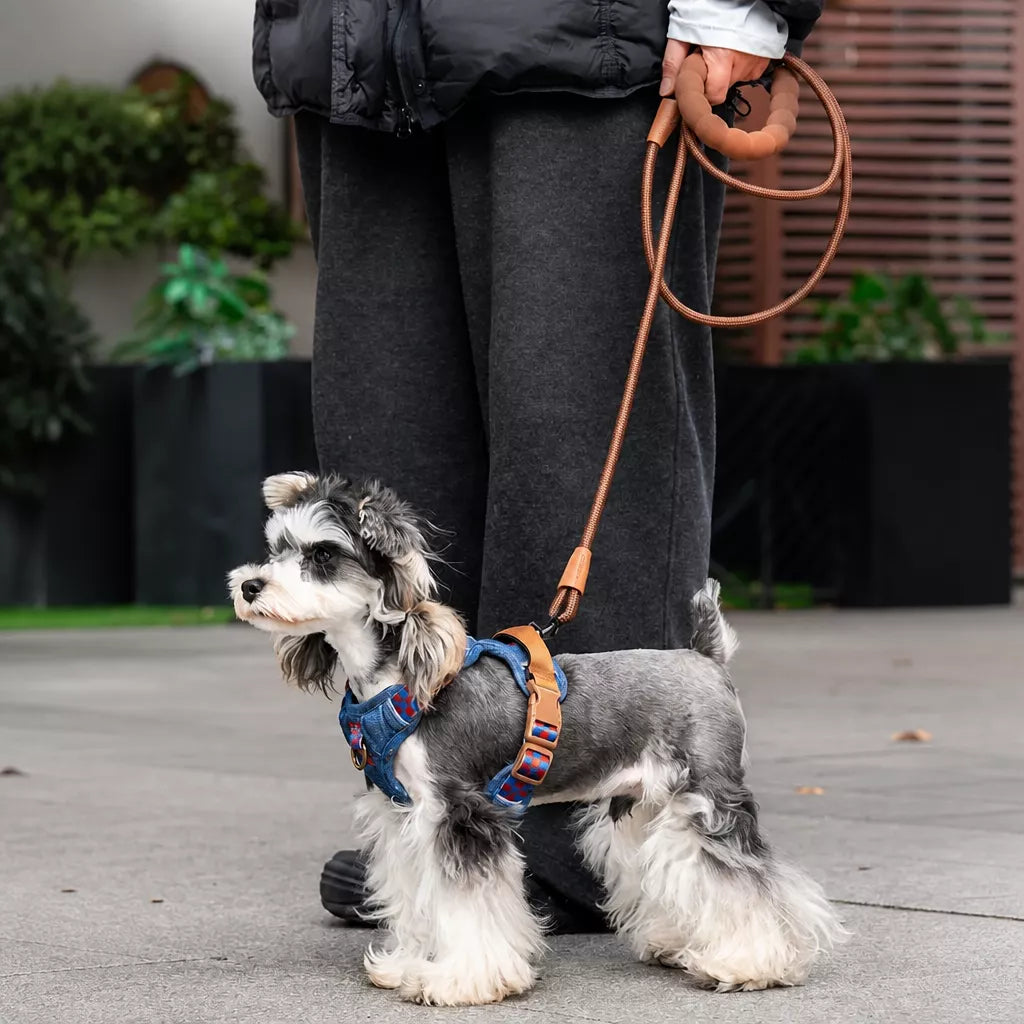 Adjustable Polyester Dog Vest Harness and Leash