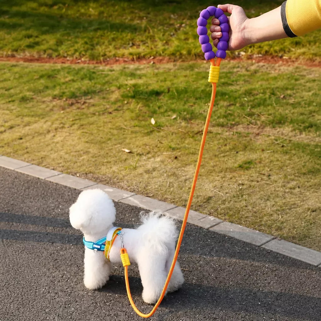 Nylon Round Dog Leash for Small to Medium Dogs