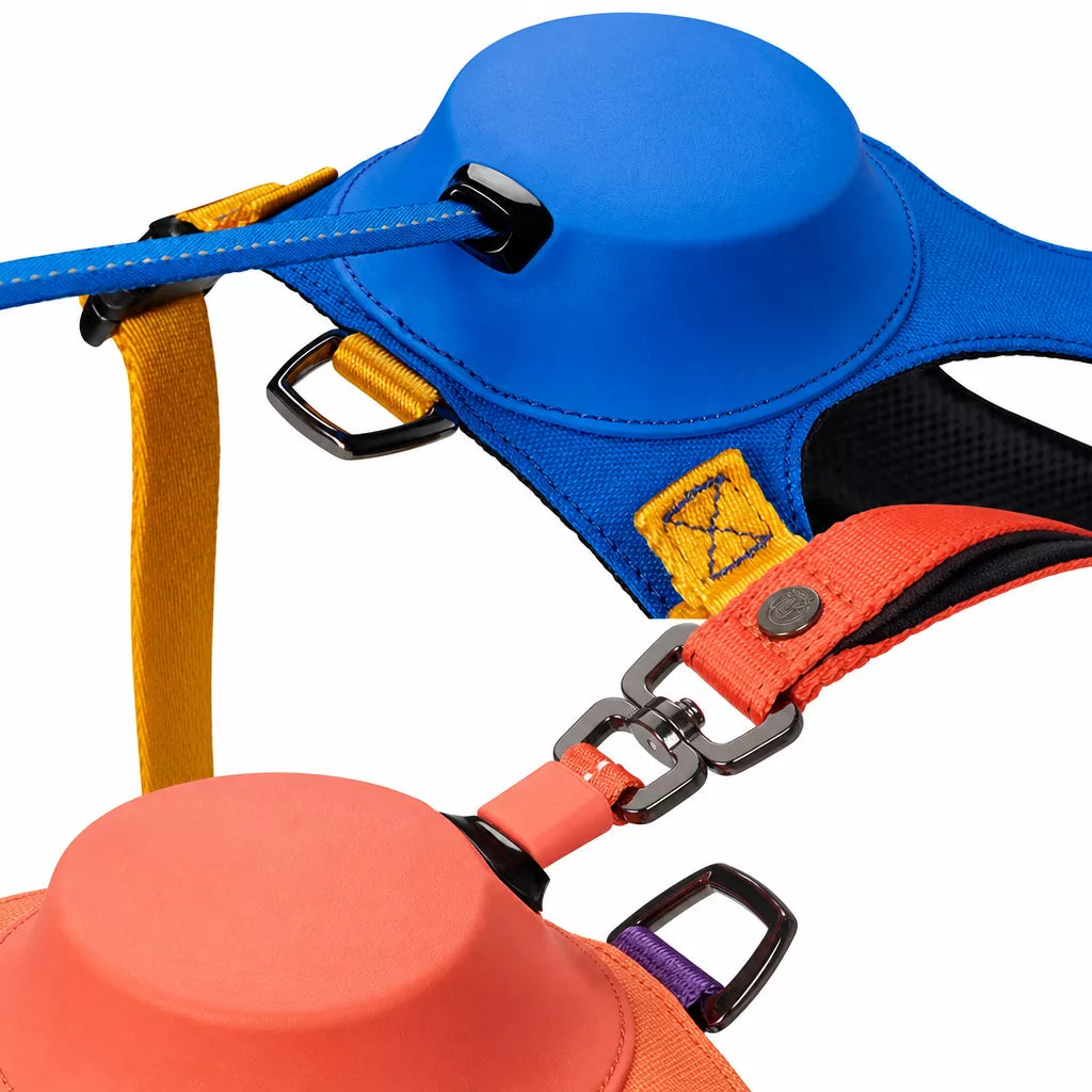 Nylon Dog Harness and Leash Set
