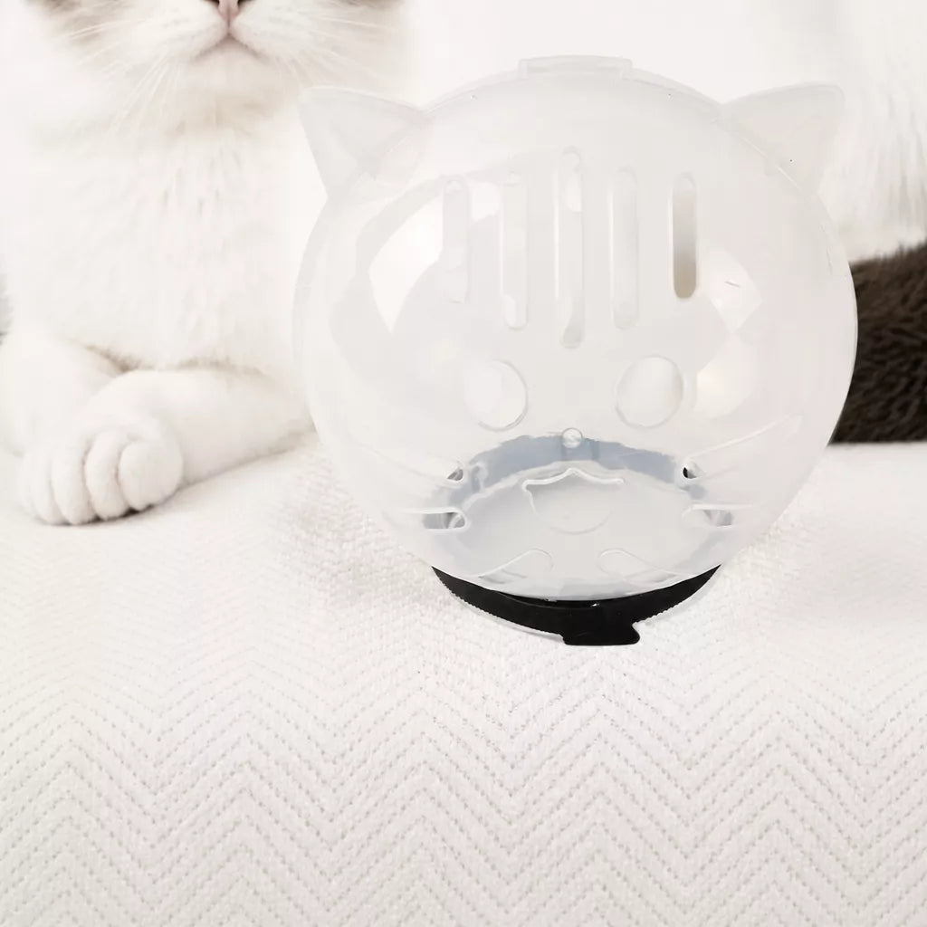 Clear Plastic Cat Elizabethan Collar