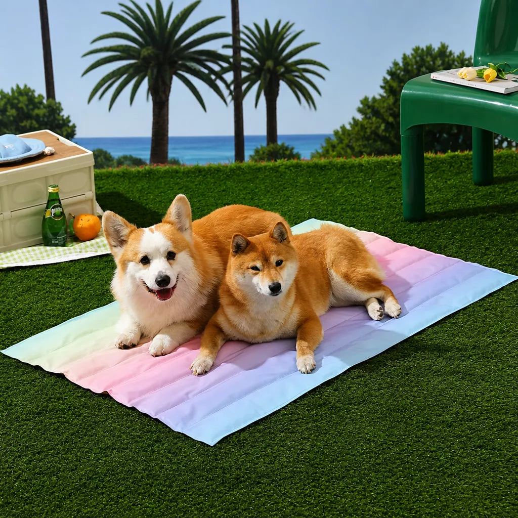 Oval & Square Pet Mats for Dogs and Cats