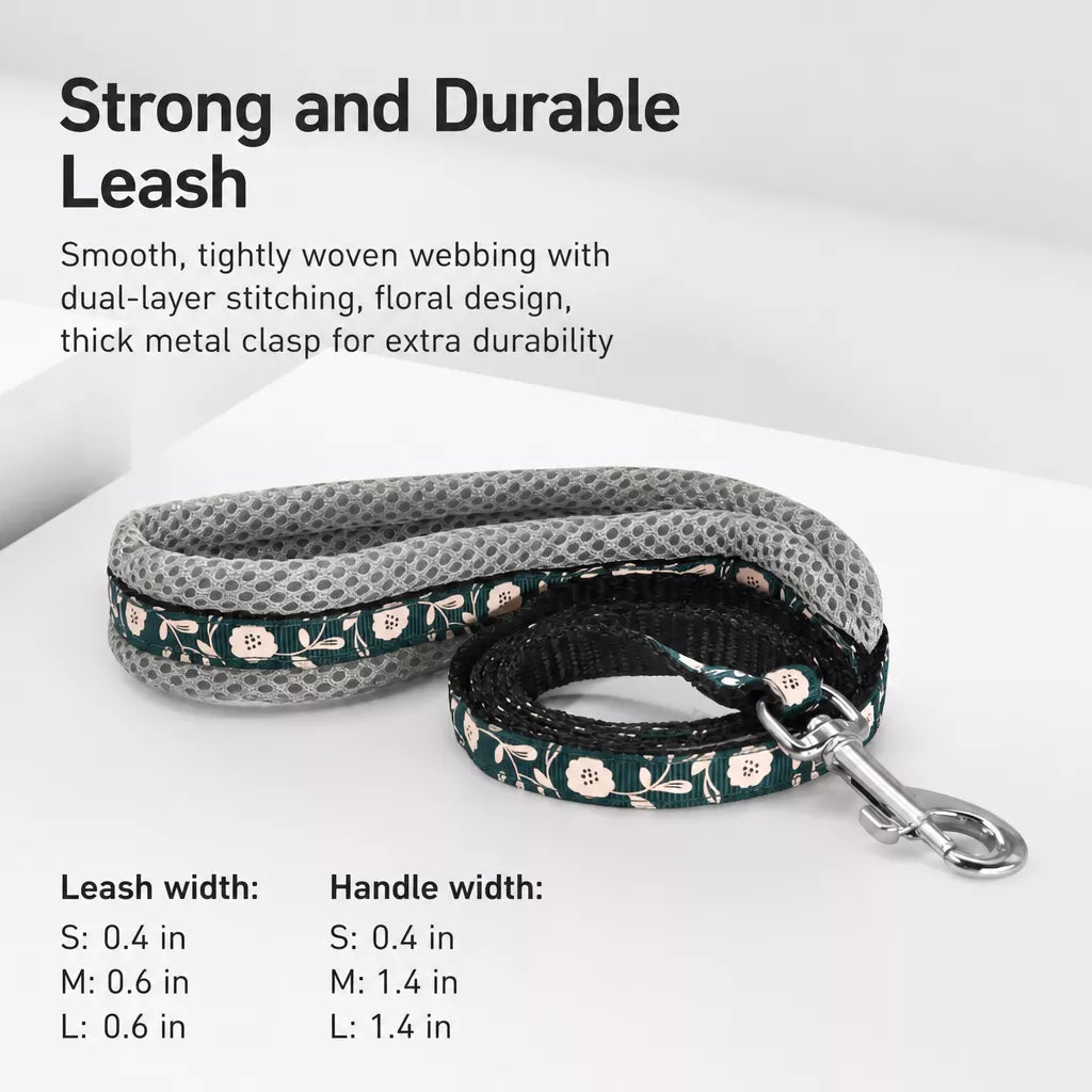 Small Dog Vest Harness and Leash