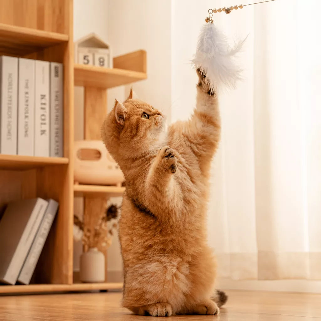 Feather Cat Teaser Wand Toy with Bell
