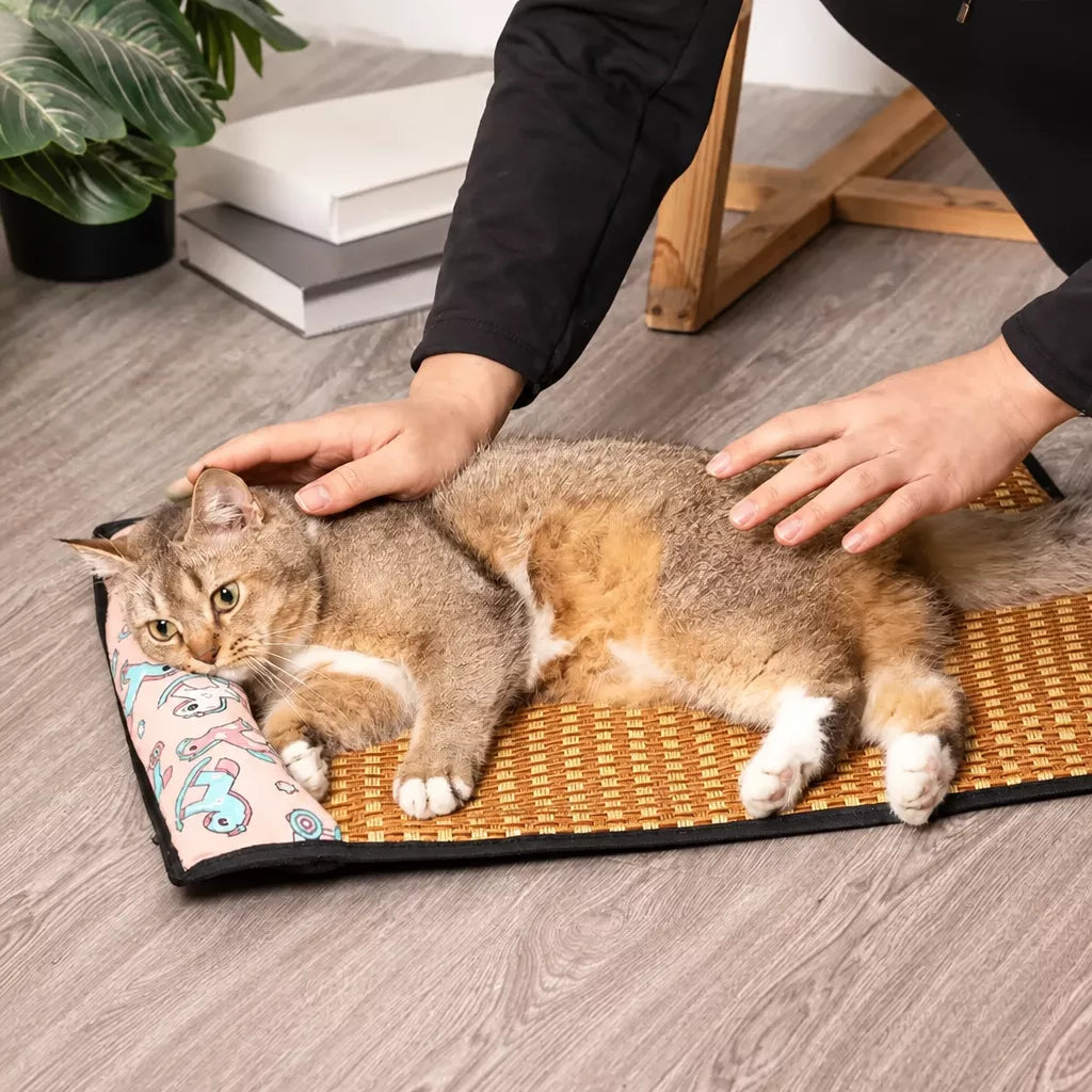 Foam Pet Mat for Cats and Dogs