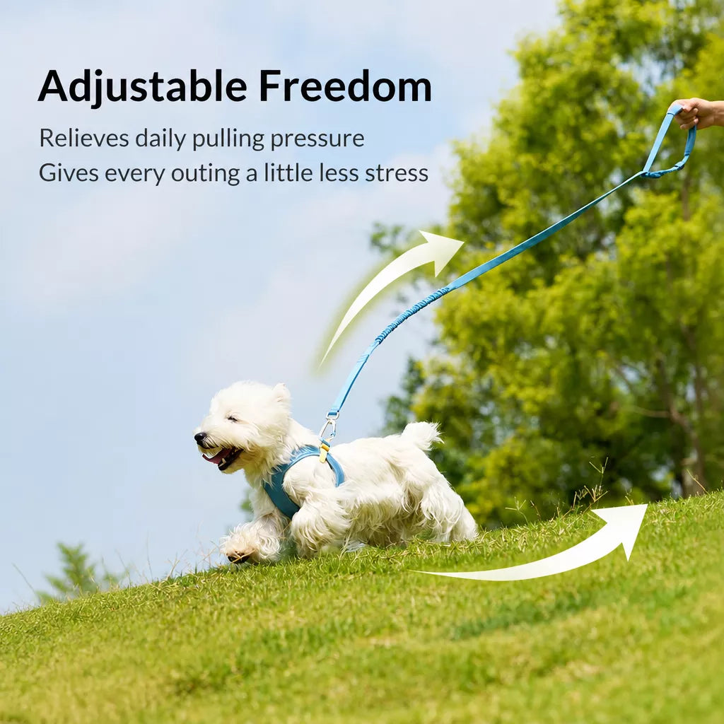 Adjustable Nylon Vest Harness for Small Dogs
