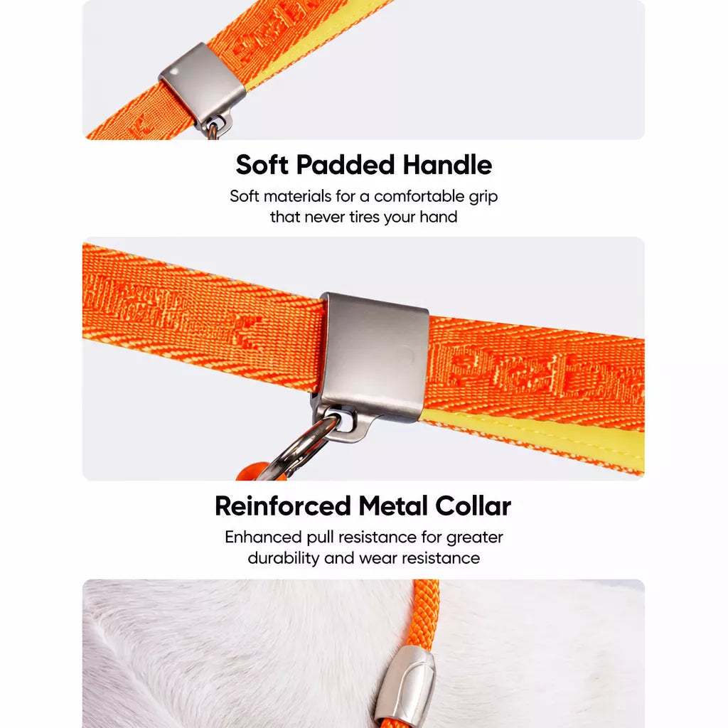 Integrated Slip Lead Dog Leash with Close-Control Handle
