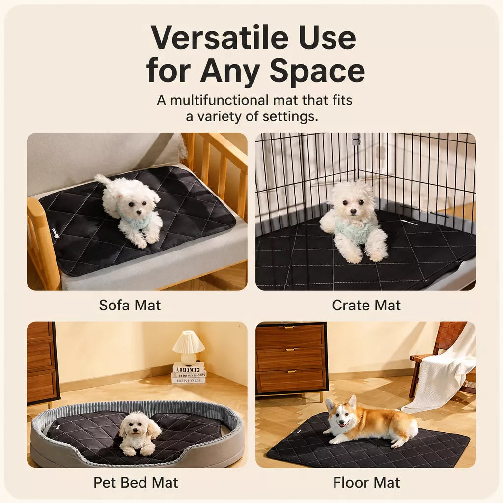Foam Dog Crate & Floor Mat