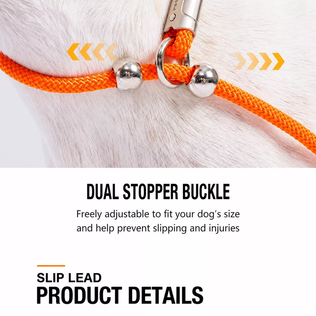 Integrated Slip Lead Dog Leash with Close-Control Handle