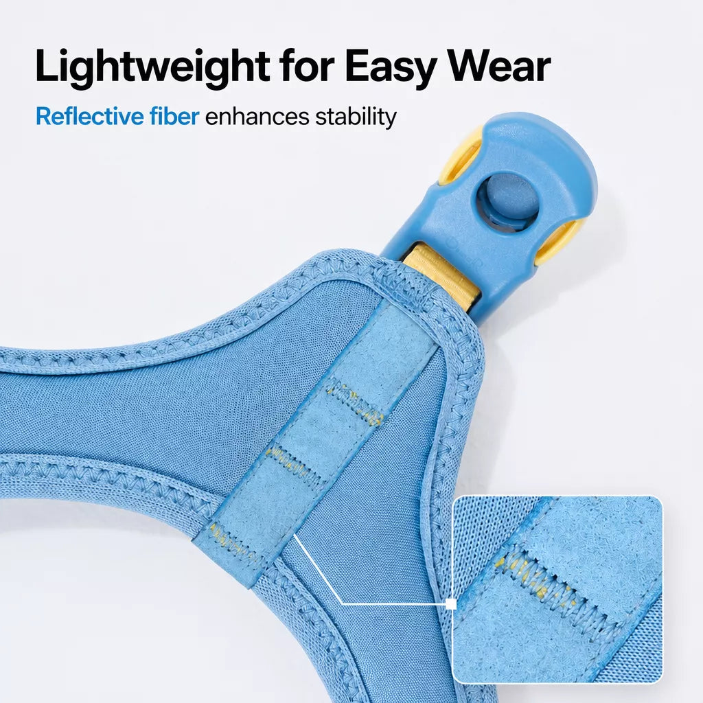 Adjustable Nylon Vest Harness for Small Dogs