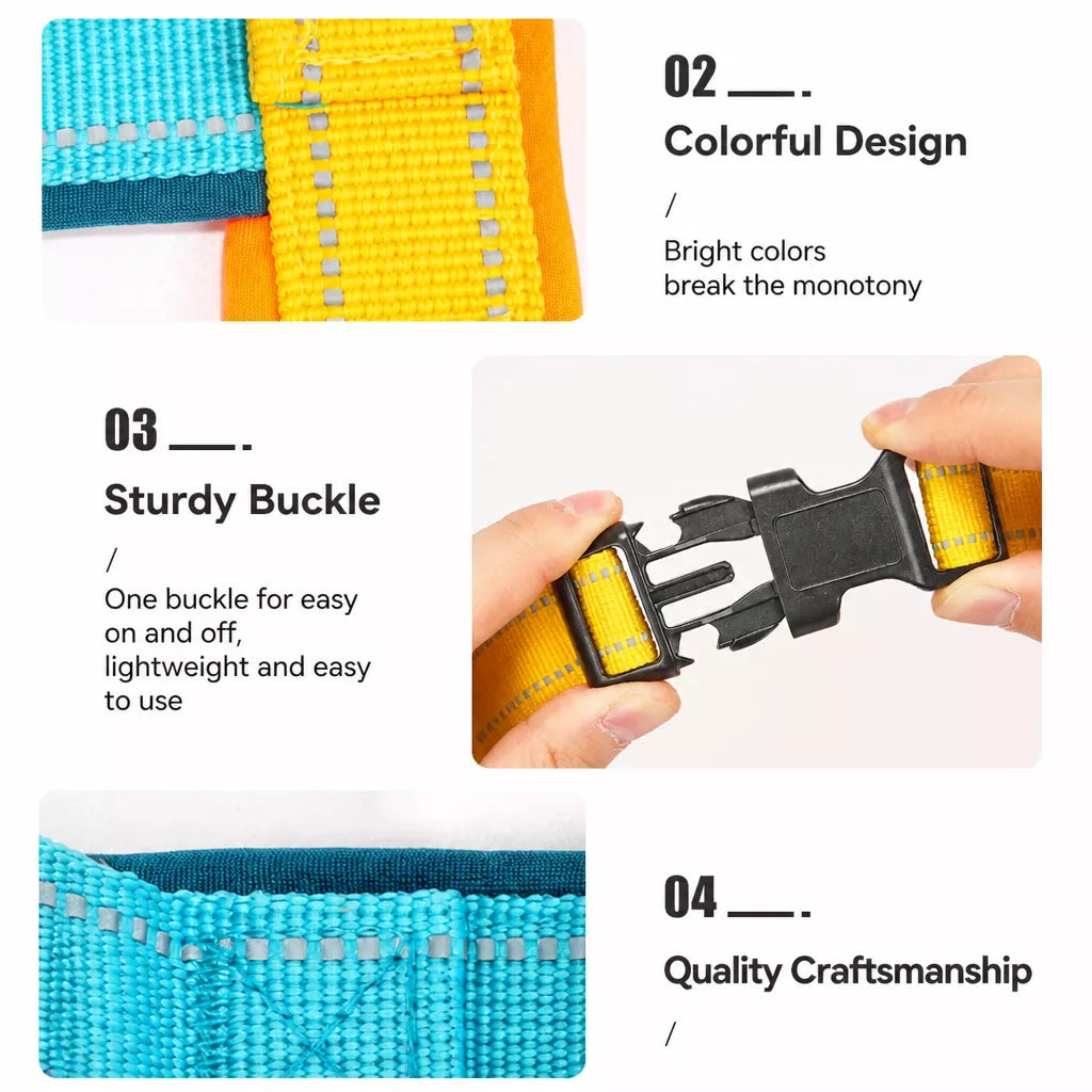 Nylon Round Dog Leash for Small to Medium Dogs