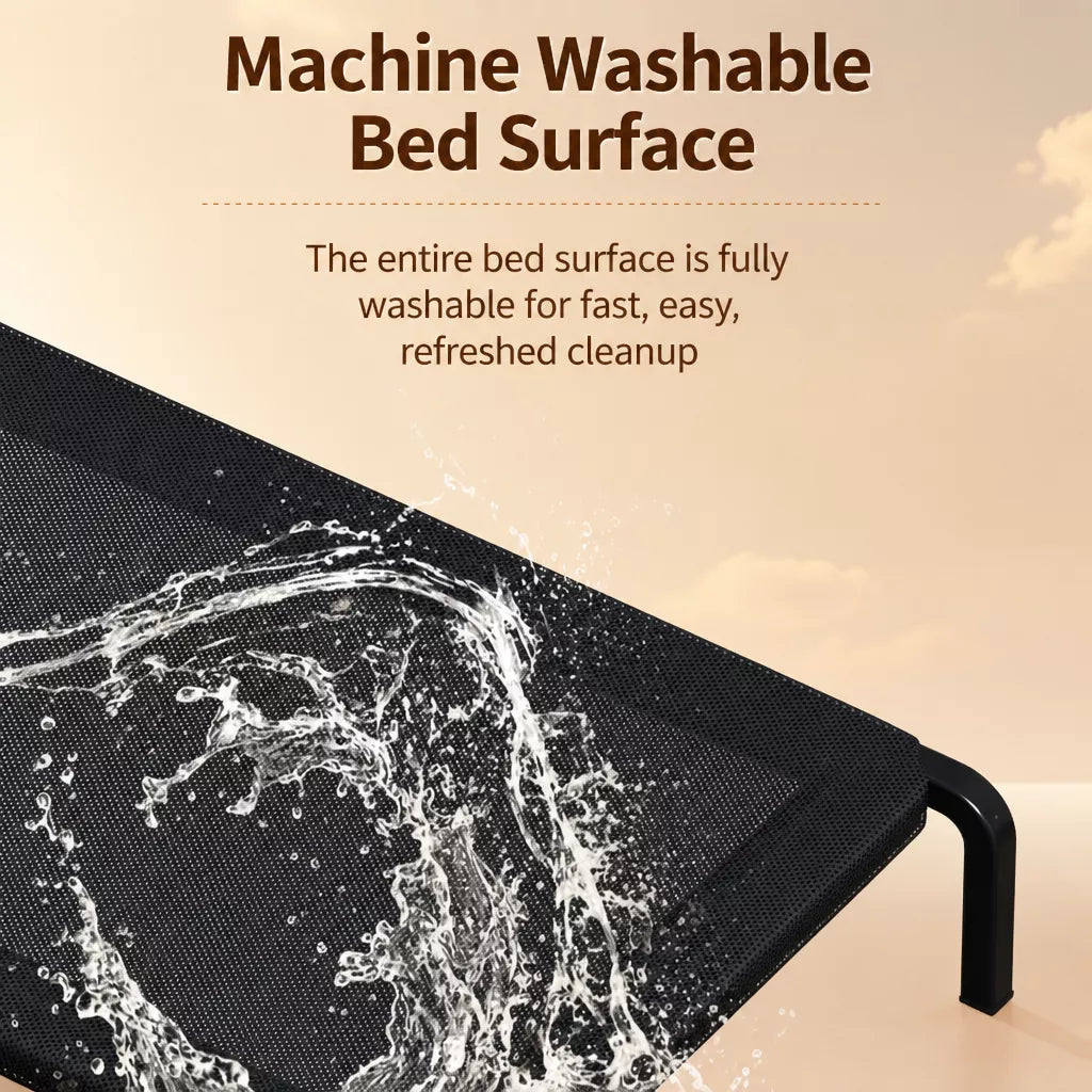 Elevated Pet Cot Bed with Removable Washable Nylon Cover