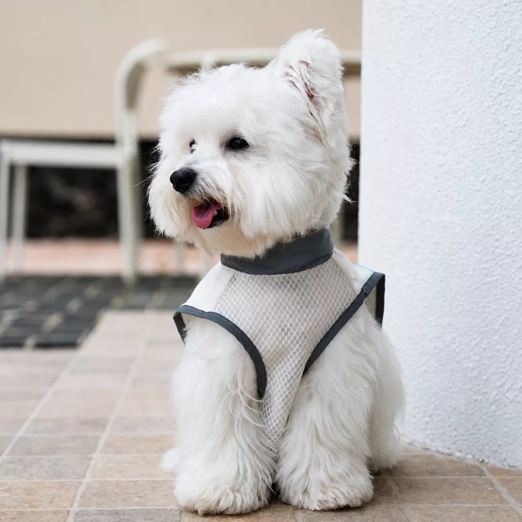 Lightweight Polyester Dog Vest