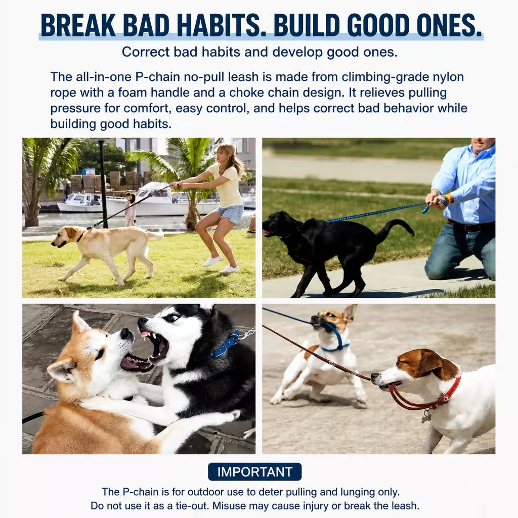 Dog Rope Leash