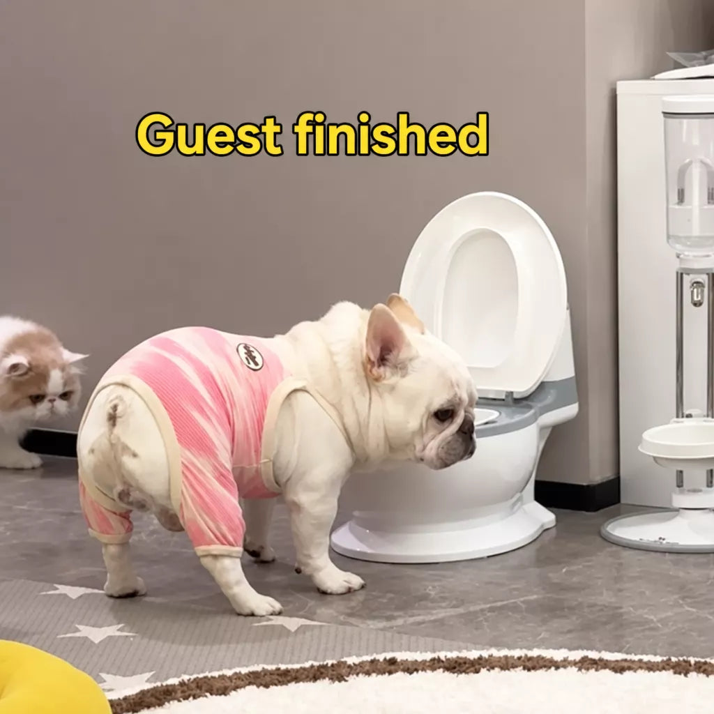 Toilet-Shaped Pet Water Bowl with Wide Opening