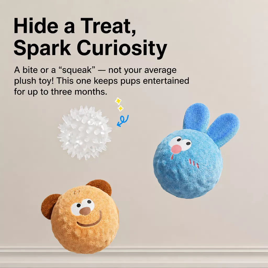 Squeaky Elastic Ball Dog Toy