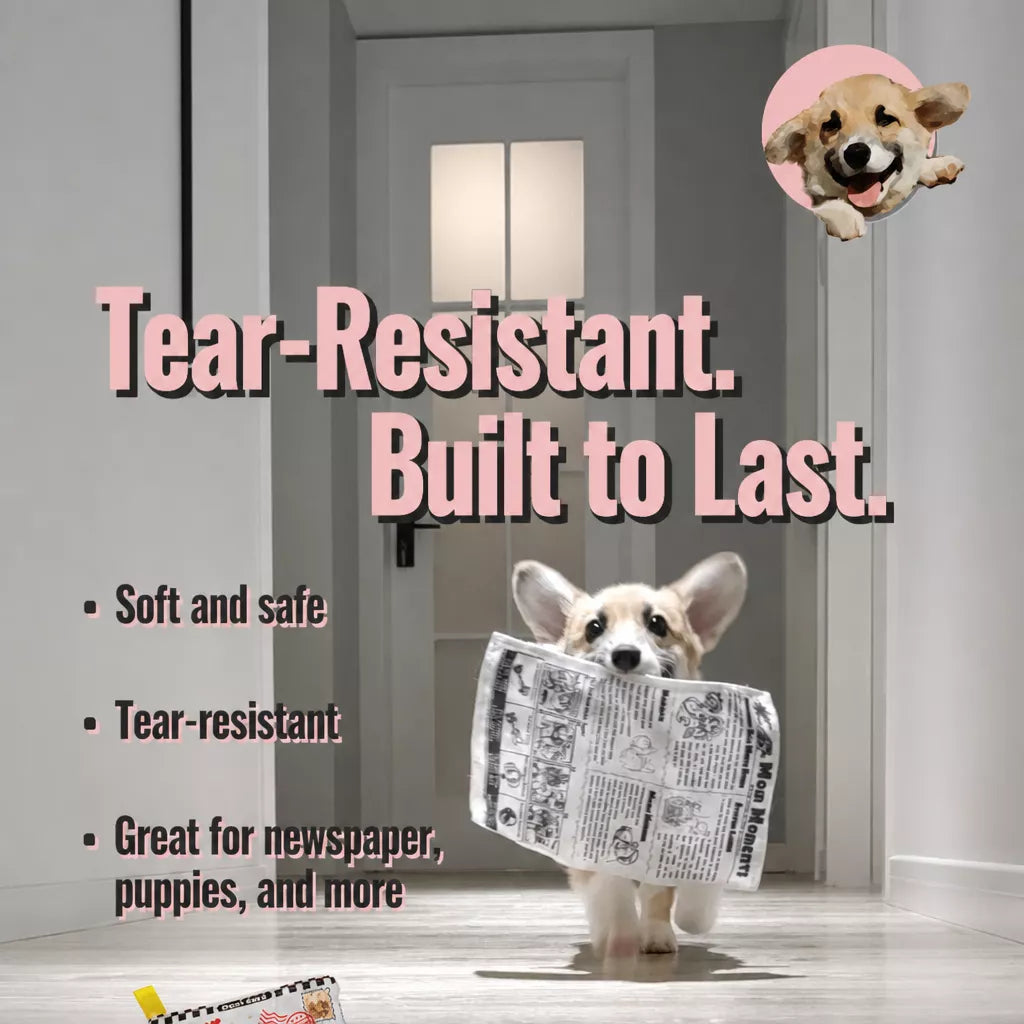 Squeaky Crinkle Dog Toy – Newspaper-Inspired Interactive Toy