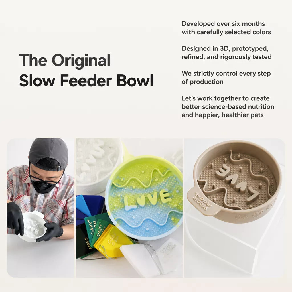 Slow Feeder Pet Bowl for Dogs and Cats