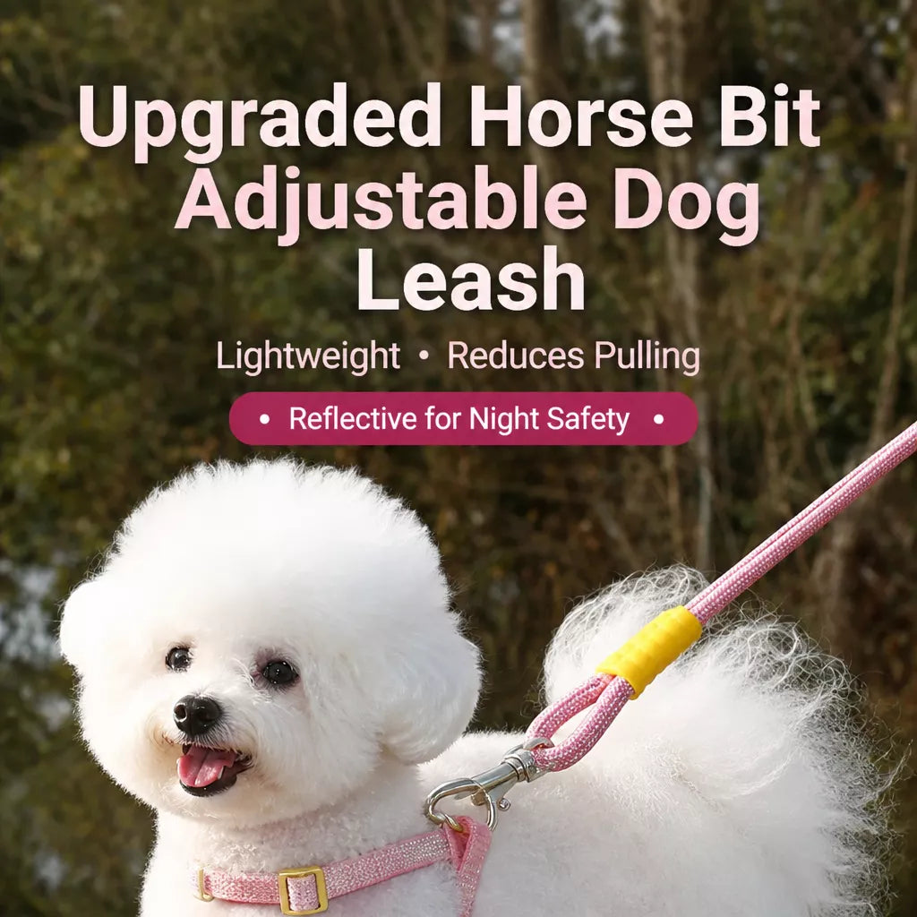 Nylon Round Dog Leash for Small to Medium Dogs
