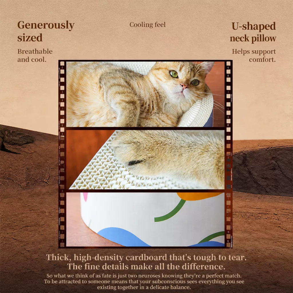 Corrugated Cardboard Cat Scratcher Bed