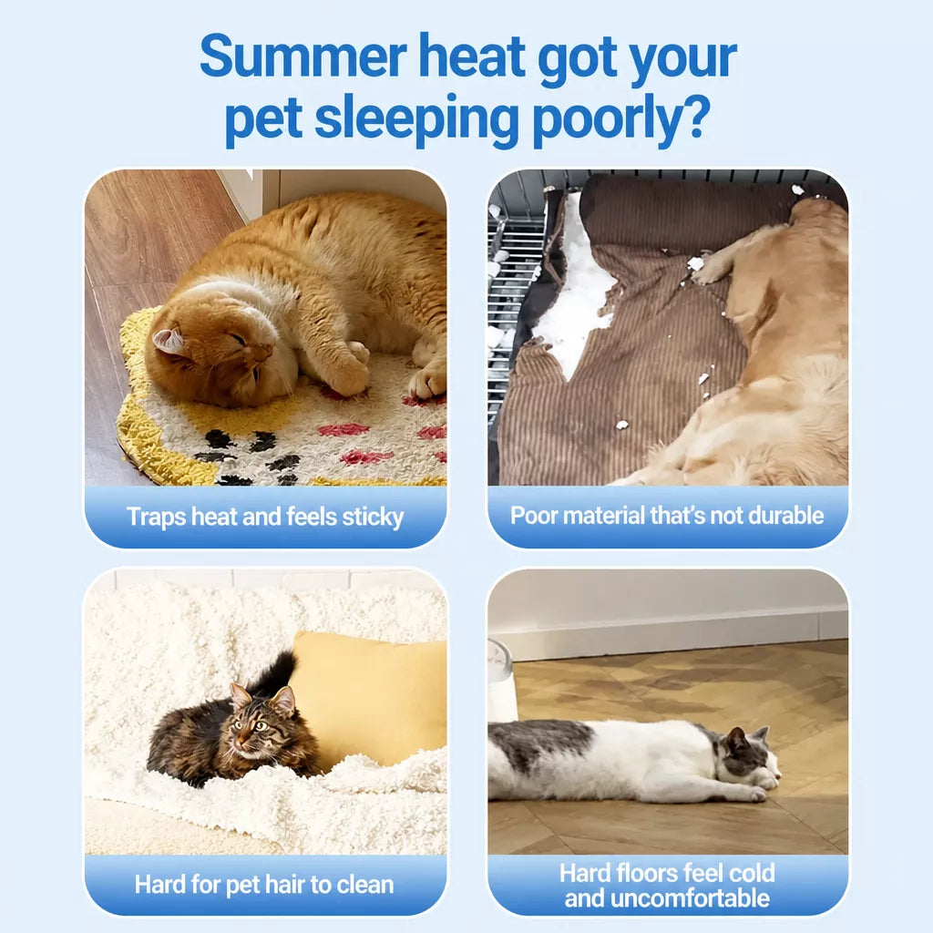 Nylon Pet Mat for Dogs and Cats