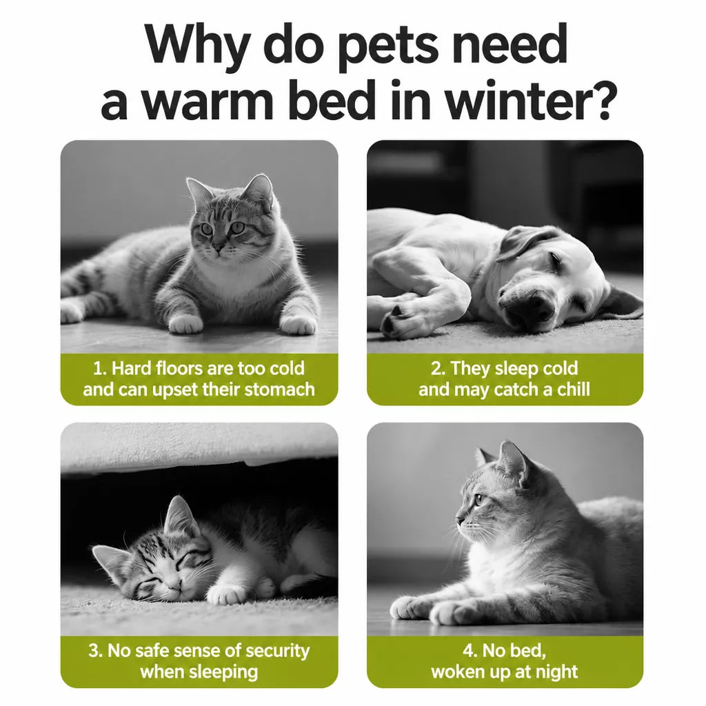Semi-Enclosed Cat & Dog Bed with Removable Washable Cover