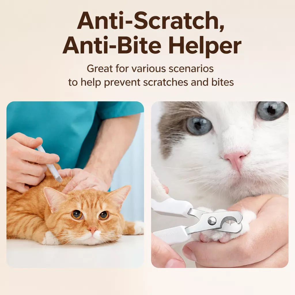 Clear Plastic Cat Elizabethan Collar