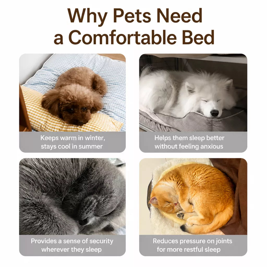 Enclosed Tent-Style Pet Bed for Cats and Small Dogs