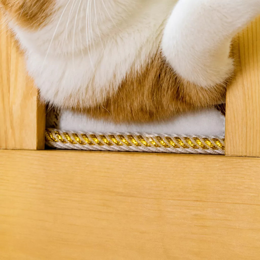 Cat Teaser Wand with Bell and Feather