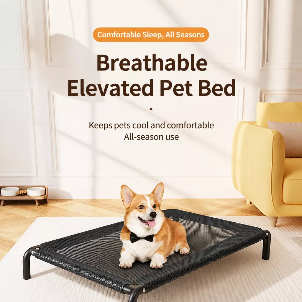 Elevated Pet Cot Bed with Removable Washable Nylon Cover