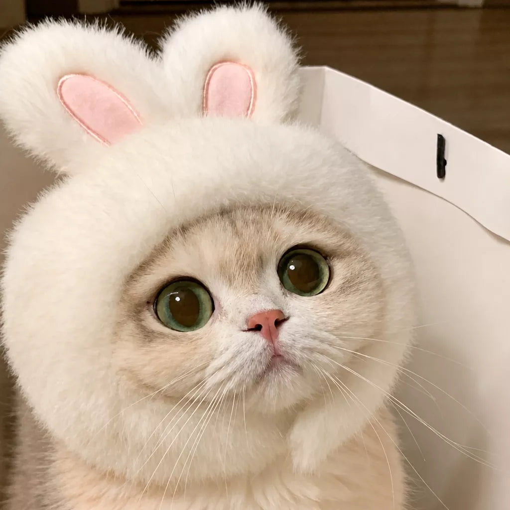 Pet Costume Hats for Dogs and Cats