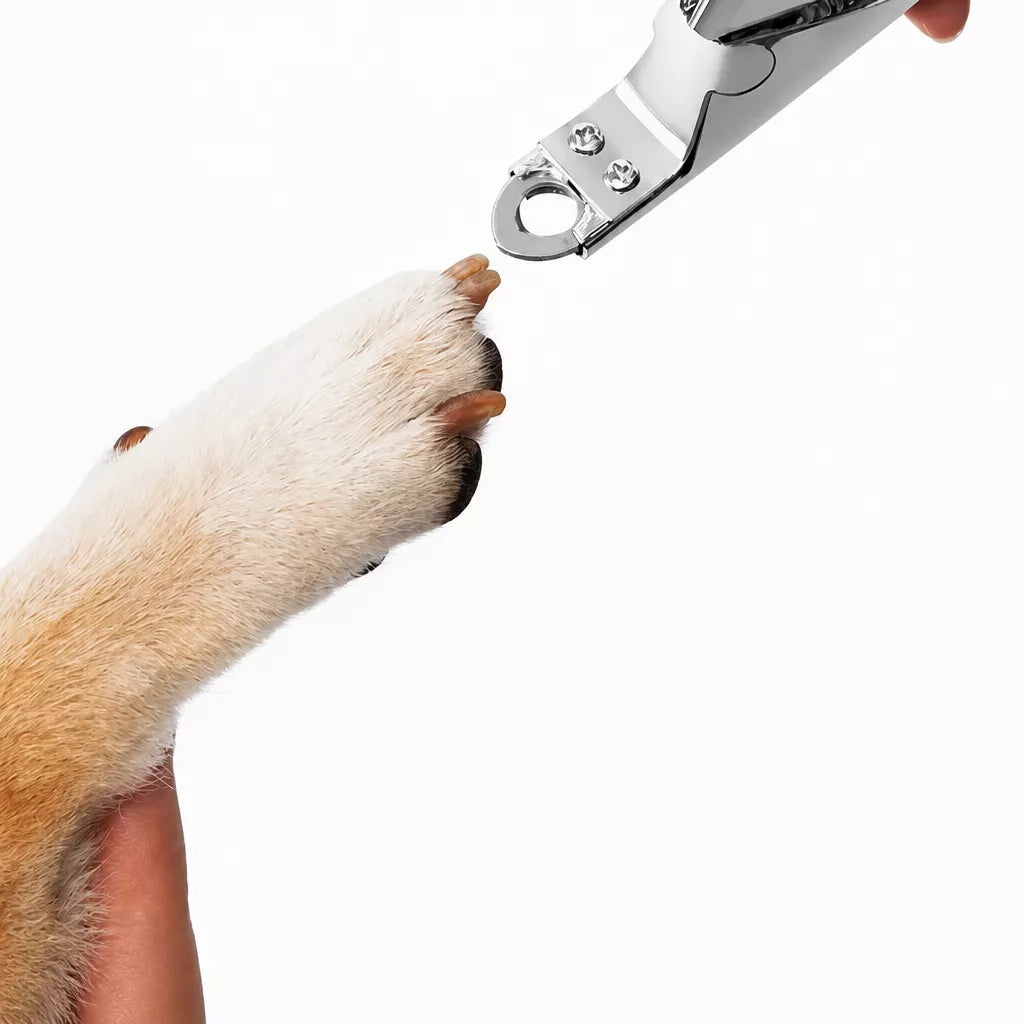 Pet Nail Clippers for Medium and Large Dogs