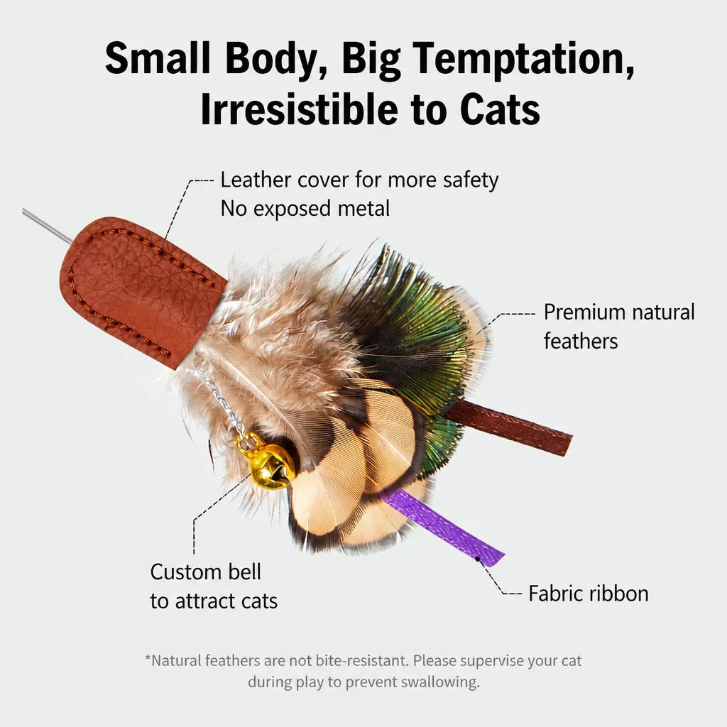 Retractable Cat Teaser Wand with Interchangeable Feather & Plush Heads