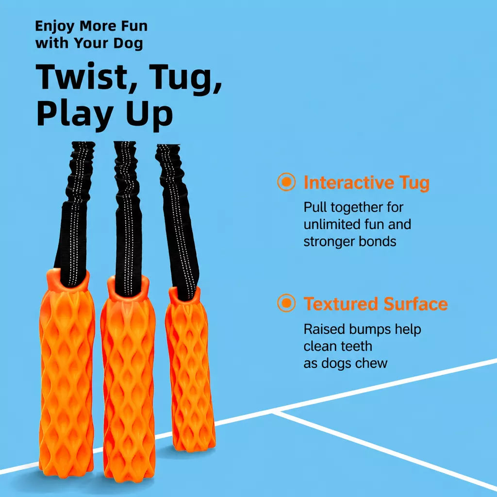 Textured Silicone Squeaky Tug Toy for Dogs