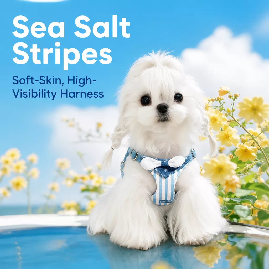 Nylon Harness for Small Dogs