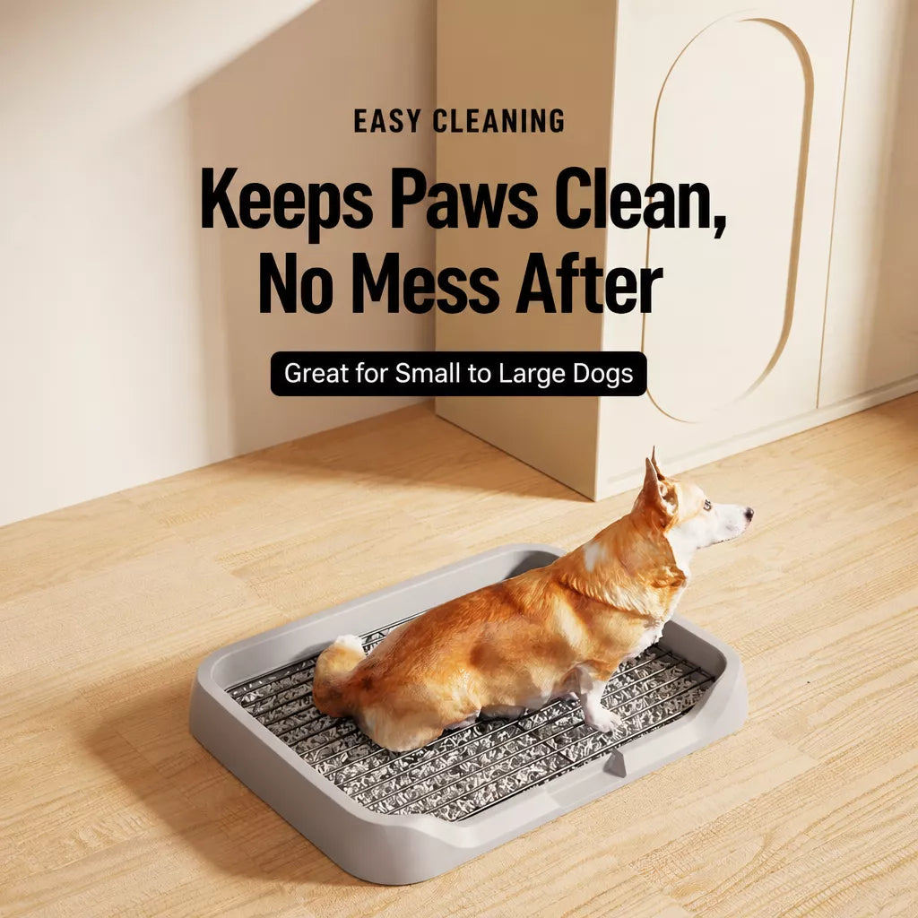 Dog Toilet Training Tray with Steel Frame