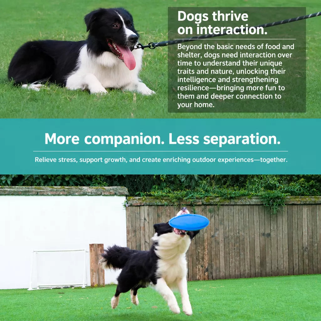 Floating Dog Flying Disc Toy for Training and Interactive Play