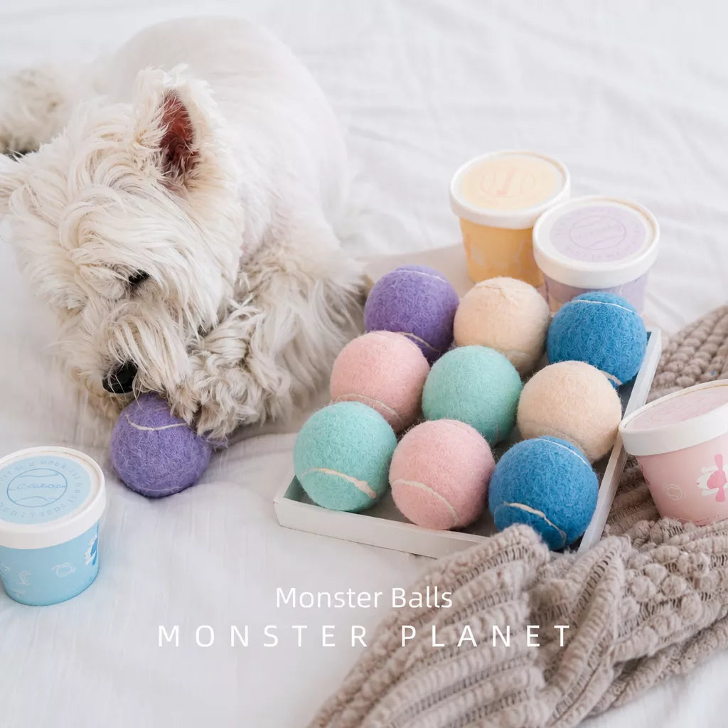Ice Cream-Style Interactive Dog Ball with Storage Box