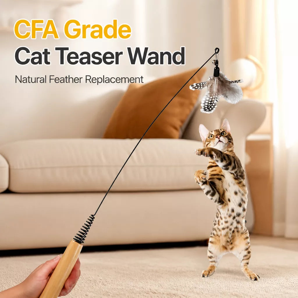 Interactive Cat Teaser Wand with Feather Replacement Heads
