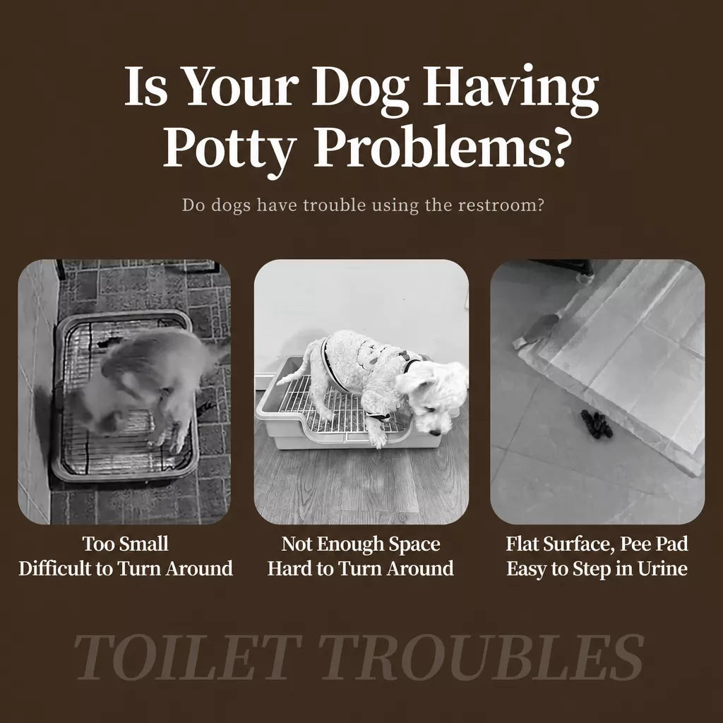 Plastic Dog Potty Tray with Splash Guard and Handle