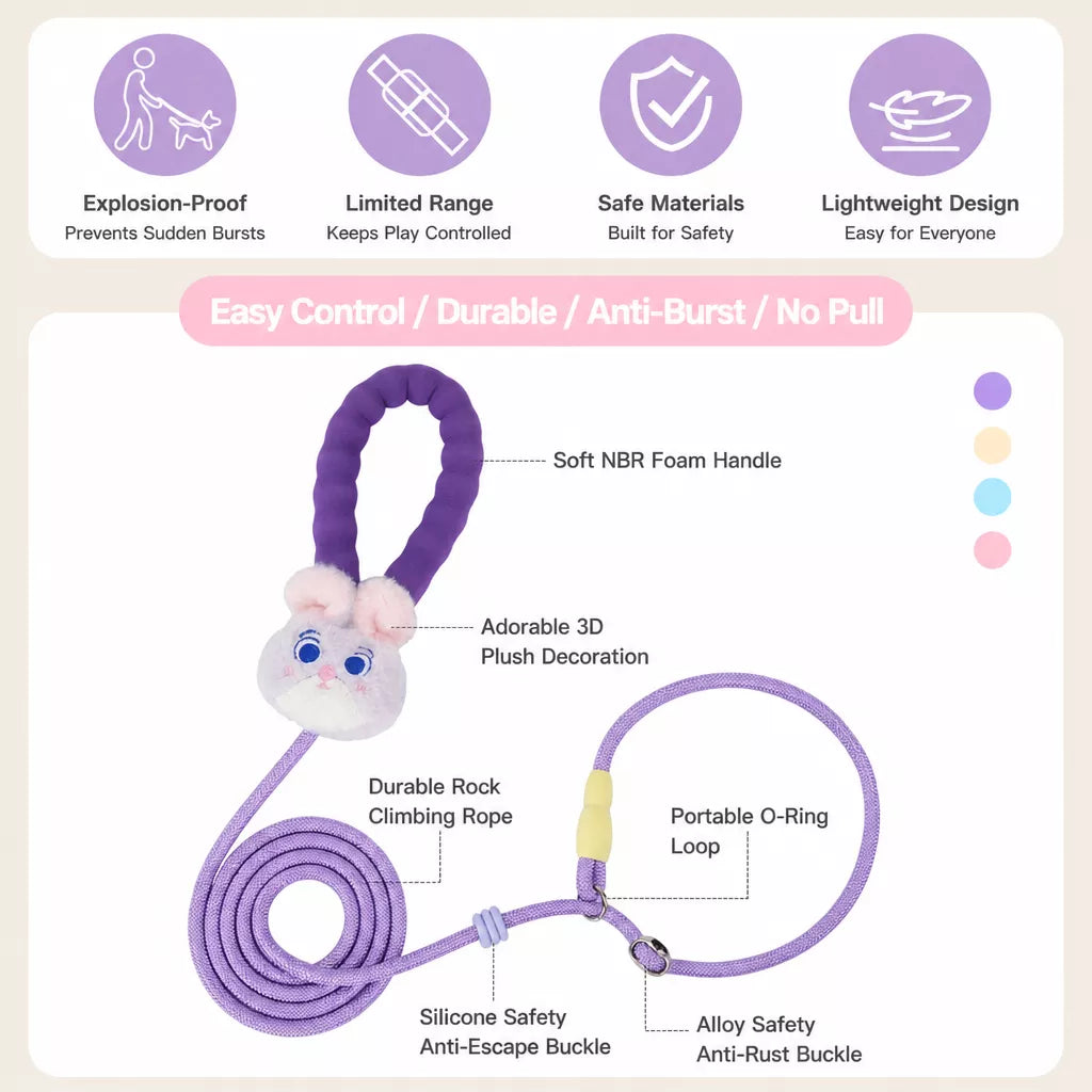 Nylon Slip Lead Dog Leash with Comfort Grip for Training