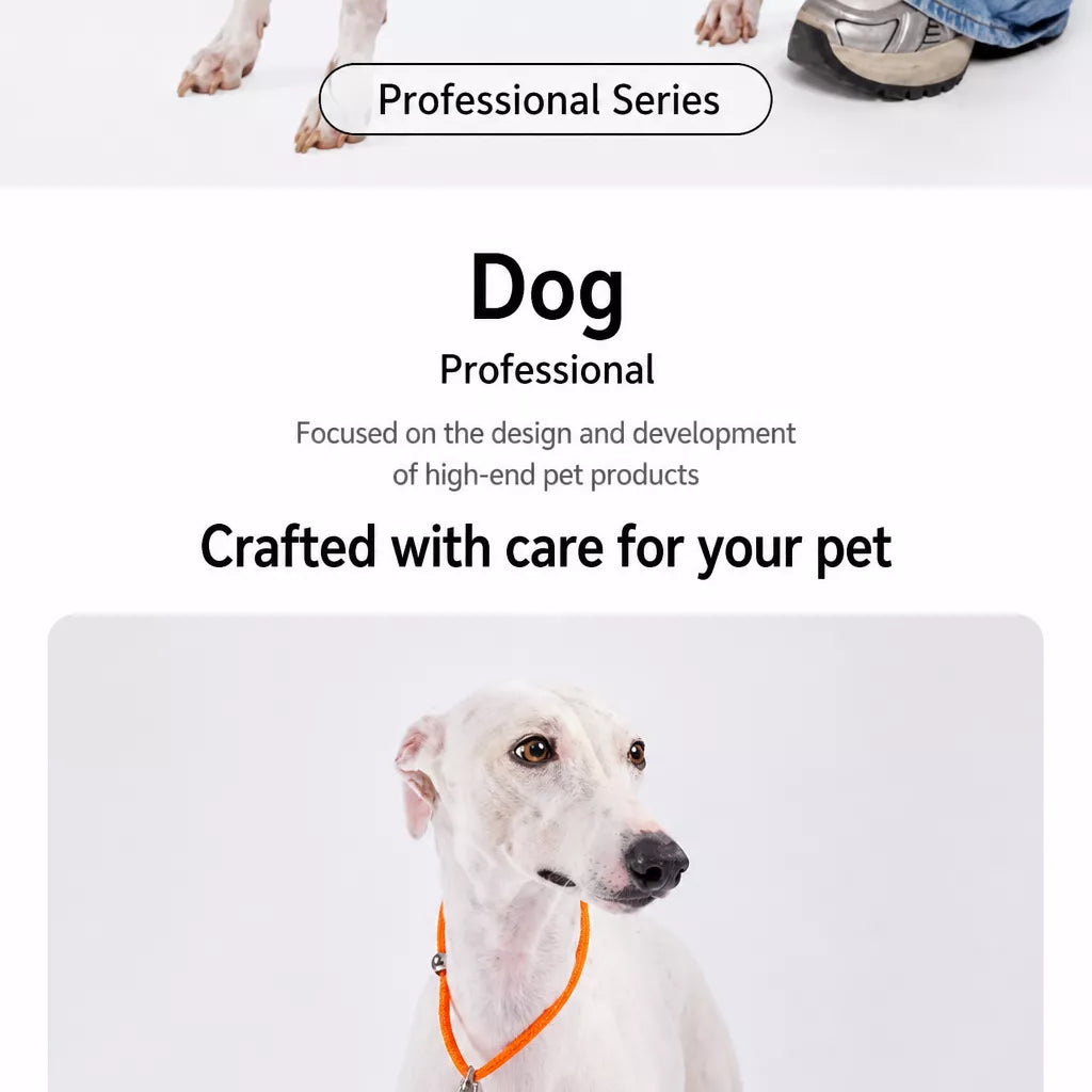Integrated Slip Lead Dog Leash with Close-Control Handle